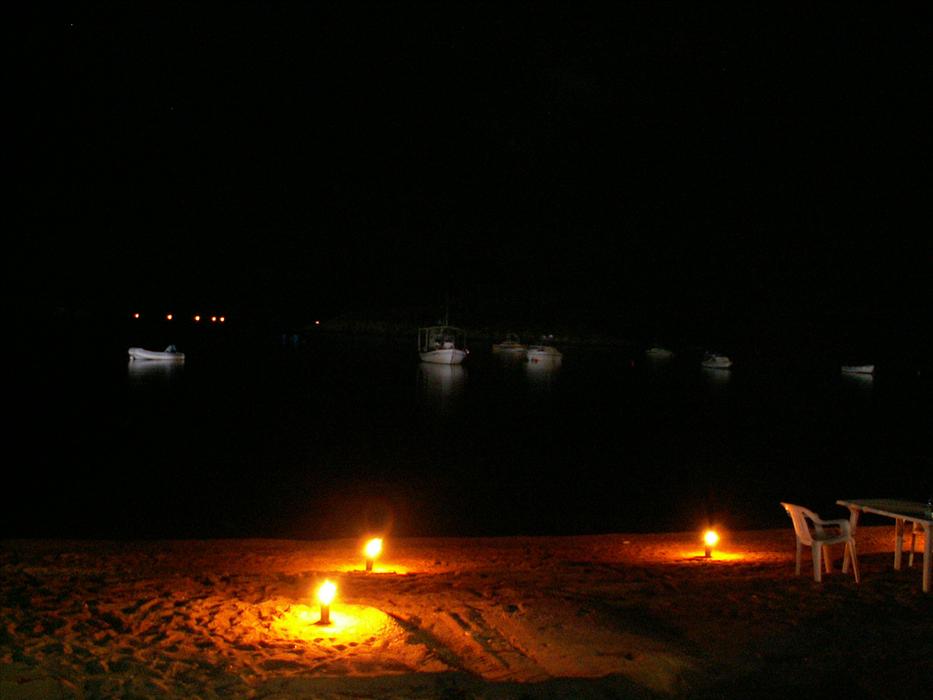 PICT7317
