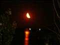 PICT7326